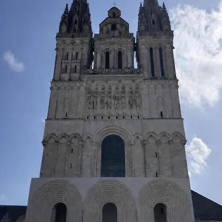 Apartamento L'écrin Coeur D'angers - Famille Ou Groupe
